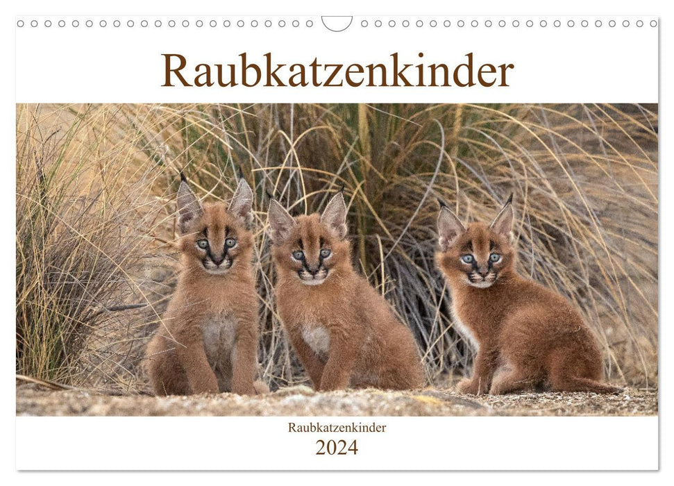 Raubkatzenkinder (CALVENDO Wandkalender 2024)