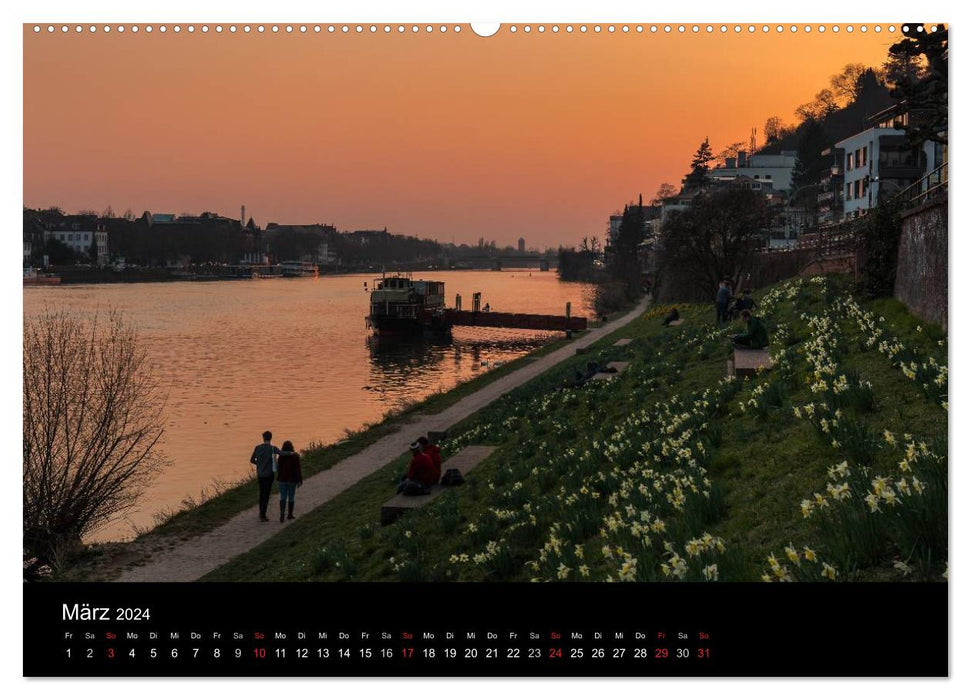 Heidelberg - Pictures of a City (CALVENDO Premium Wall Calendar 2024) 