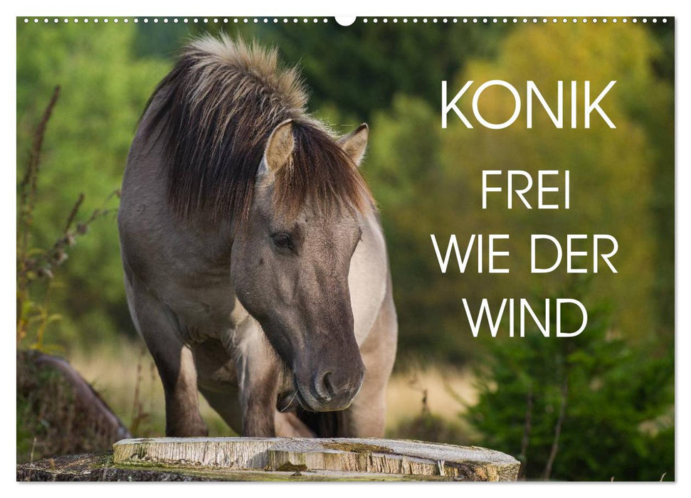 Konik - Born Free (CALVENDO Wall Calendar 2024) 