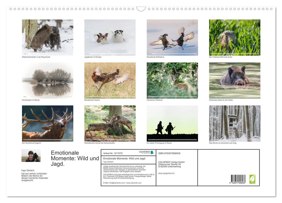 Emotional moments: game and hunting. (CALVENDO wall calendar 2024) 