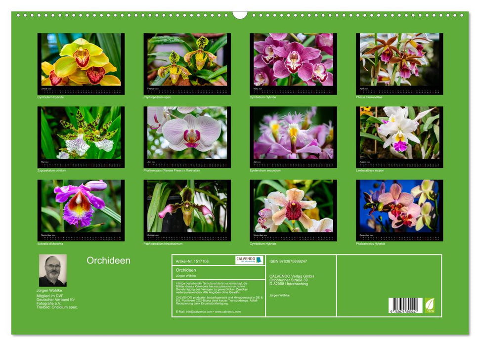 Wonderful orchids (CALVENDO wall calendar 2024) 