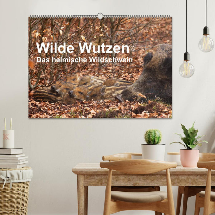 Wild pigs. The local wild boar (CALVENDO wall calendar 2024) 