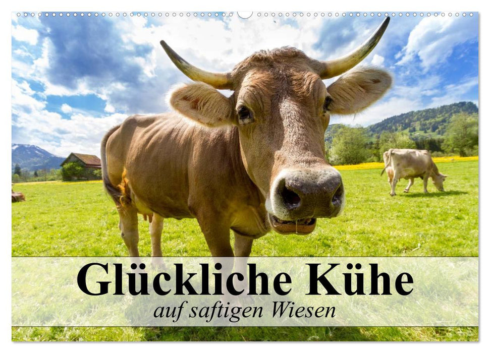 Glückliche Kühe auf saftigen Wiesen (CALVENDO Wandkalender 2024)