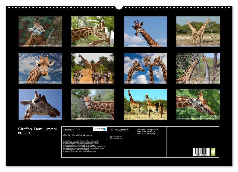 Giraffes. So close to heaven (CALVENDO wall calendar 2024) 