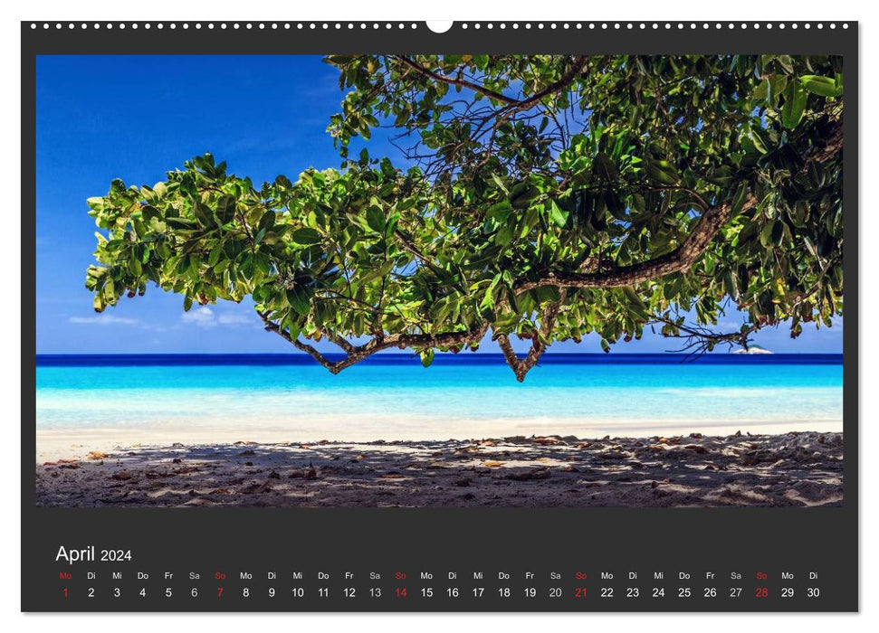 Des plages de rêve aux Seychelles au paradis (Calendrier mural CALVENDO 2024) 