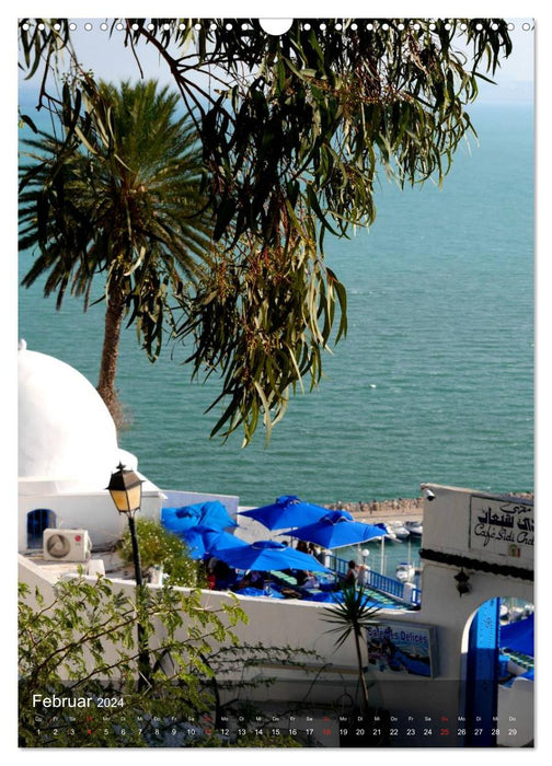 Sidi bou Saïd - Die blaue Stadt Tunesiens (CALVENDO Wandkalender 2024)