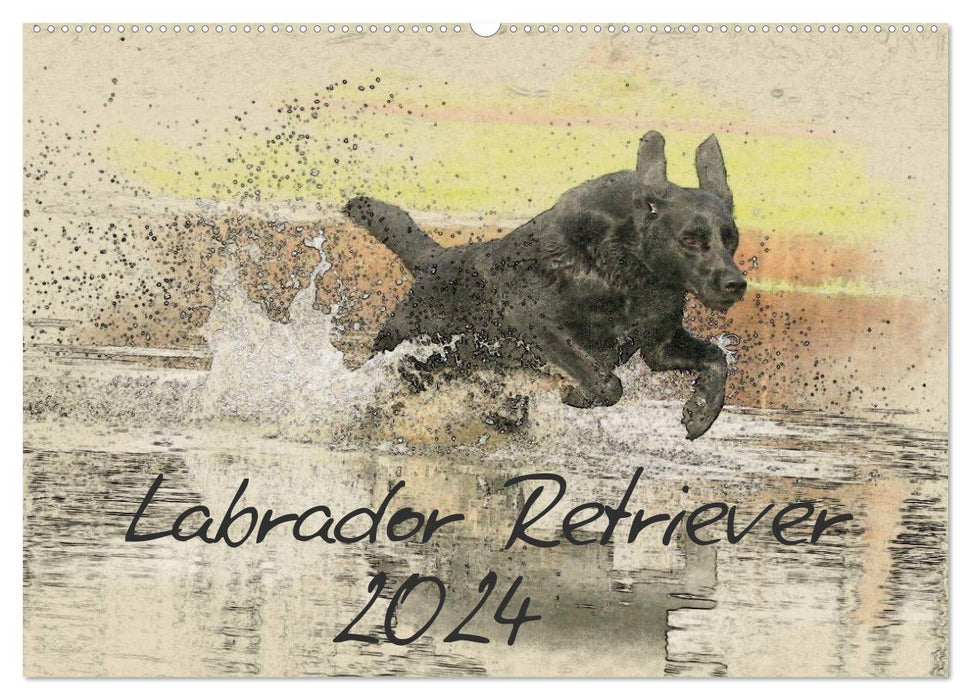 Labrador Retriever 2024 (CALVENDO Wandkalender 2024)