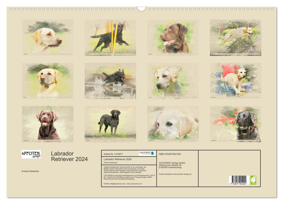 Labrador Retriever 2024 (CALVENDO Wandkalender 2024)