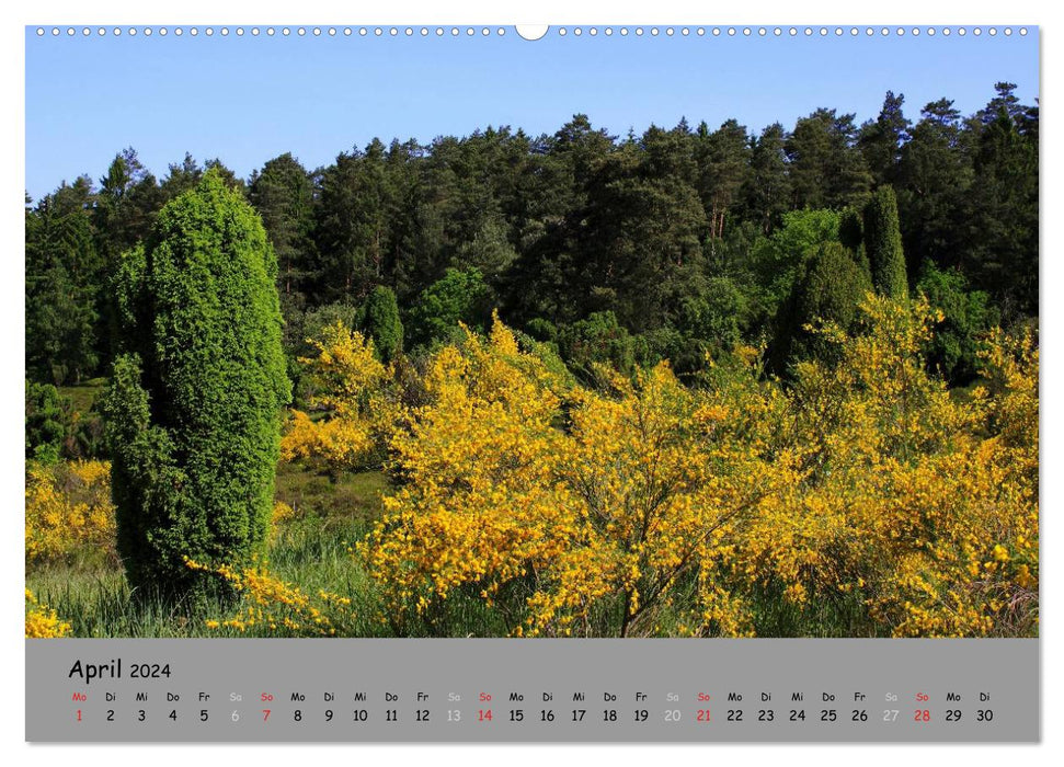 Lüneburger Heide - schön zu jeder Jahreszeit (CALVENDO Wandkalender 2024)
