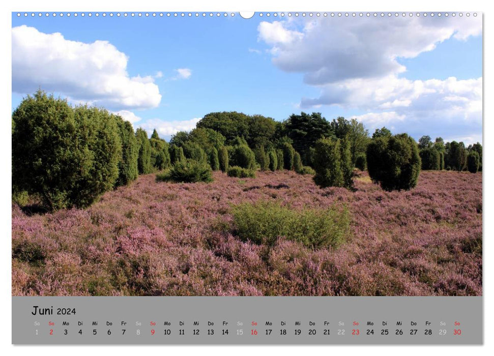 Lüneburger Heide - schön zu jeder Jahreszeit (CALVENDO Wandkalender 2024)