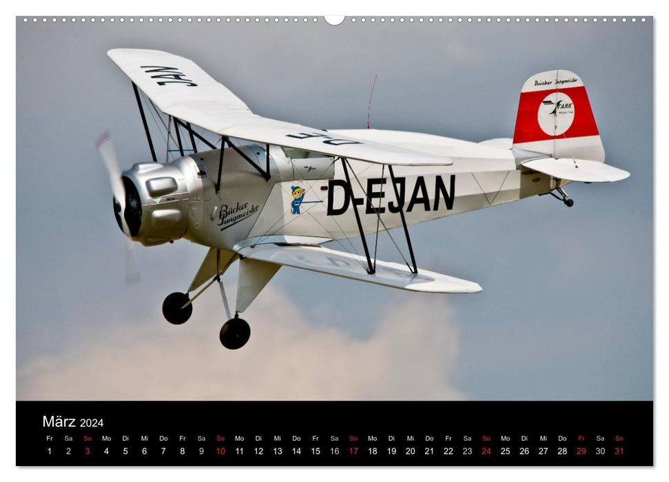 Modellflieger (CALVENDO Premium Wandkalender 2024)
