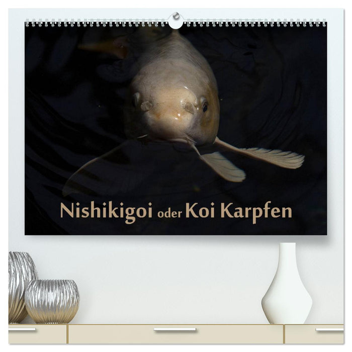 Nishikigoi oder Koi Karpfen (CALVENDO Premium Wandkalender 2024)