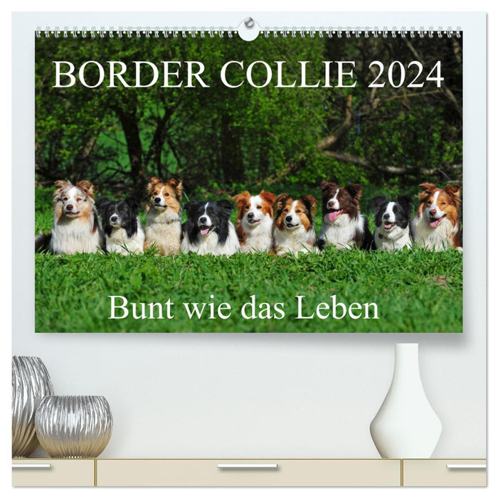 Border Collie 2024 (CALVENDO Premium Wandkalender 2024)