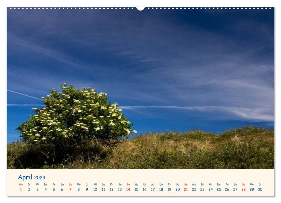 Urlaub auf Borkum (CALVENDO Wandkalender 2024)