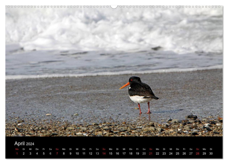 Helgoland (CALVENDO Premium Wandkalender 2024)