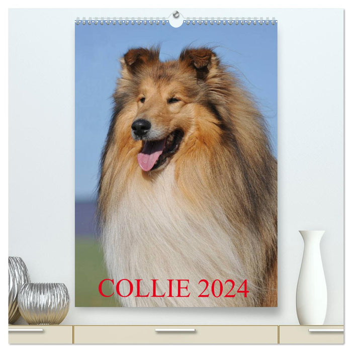 Collie 2024 (CALVENDO Premium Wandkalender 2024)
