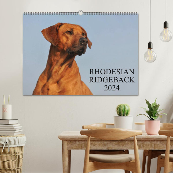 Rhodesian Ridgeback 2024 (Calendrier mural CALVENDO 2024) 