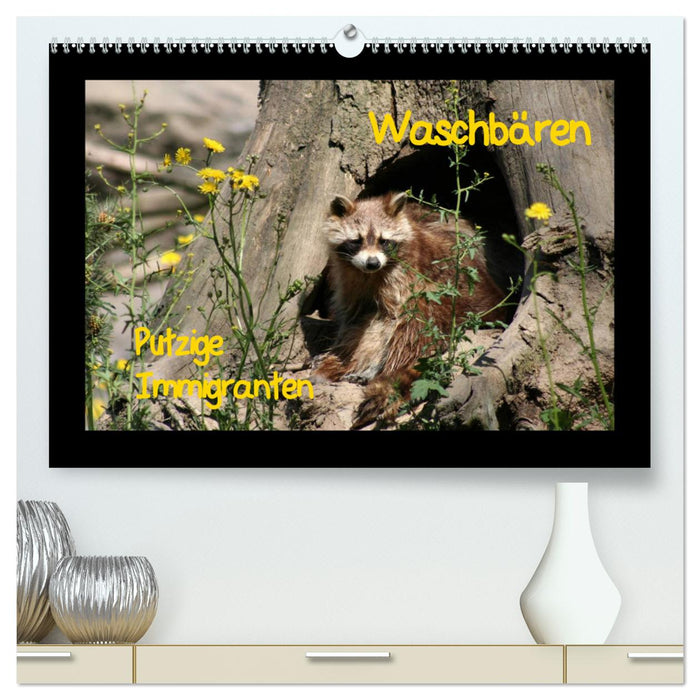 Waschbären (CALVENDO Premium Wandkalender 2024)