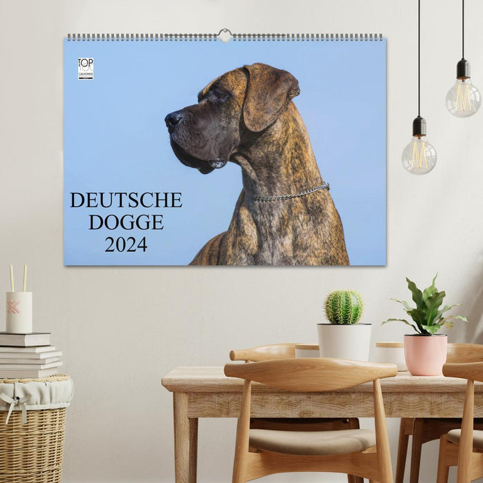 Deutsche Dogge 2024 (CALVENDO Wandkalender 2024)