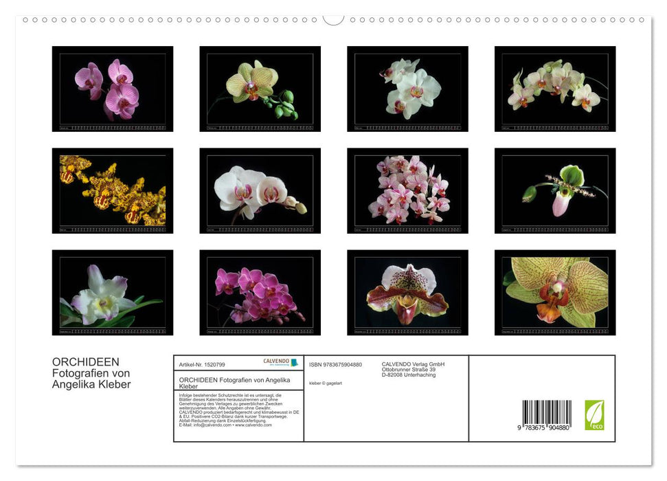 Orchideen 2024 (CALVENDO Premium Wandkalender 2024)