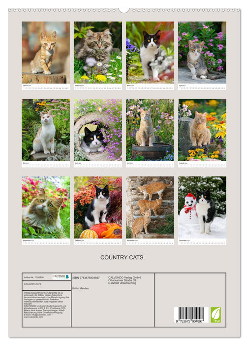 COUNTRY CATS (CALVENDO Premium Wandkalender 2024)