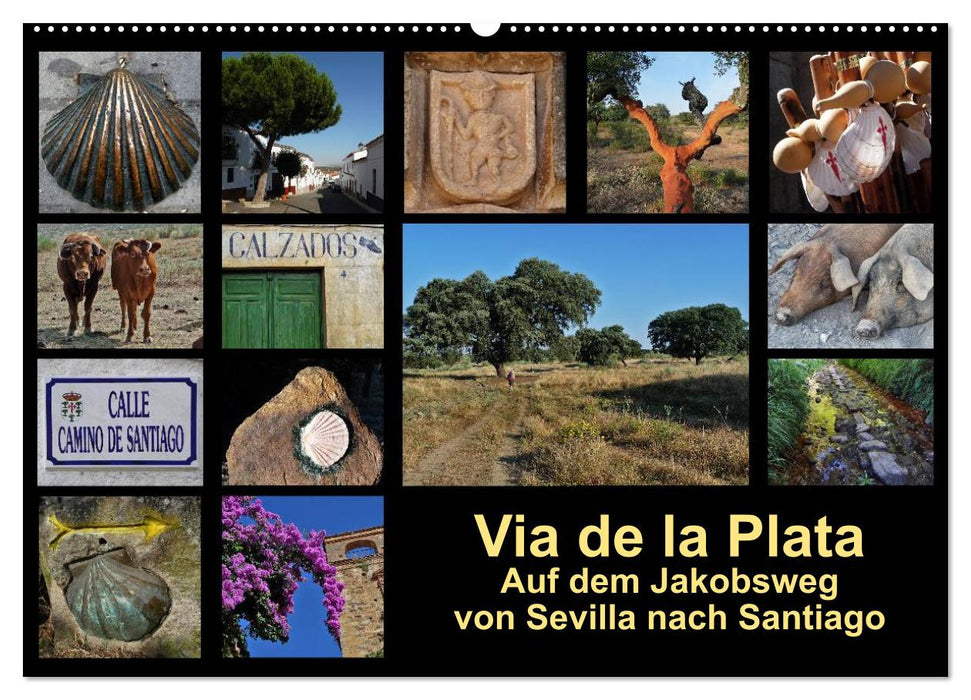 Via de la Plata - auf dem Jakobsweg von Sevilla nach Santiago (CALVENDO Wandkalender 2024)