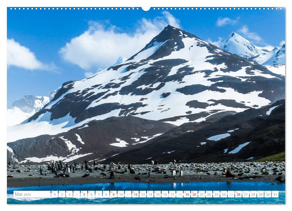 Antarktis - Das Reich der Pinguine (CALVENDO Wandkalender 2024)