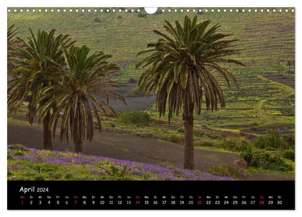 Lanzarote - Insel der Vulkane (CALVENDO Wandkalender 2024)