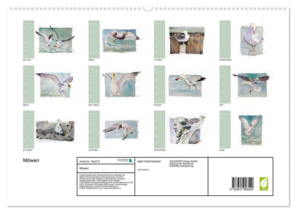Möwen - Aquarelle von Julia Pasinski (CALVENDO Premium Wandkalender 2024)