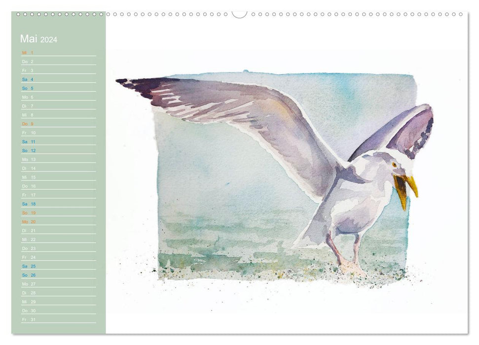 Möwen - Aquarelle von Julia Pasinski (CALVENDO Premium Wandkalender 2024)
