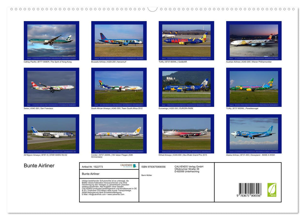 Bunte Airliner (CALVENDO Premium Wandkalender 2024)