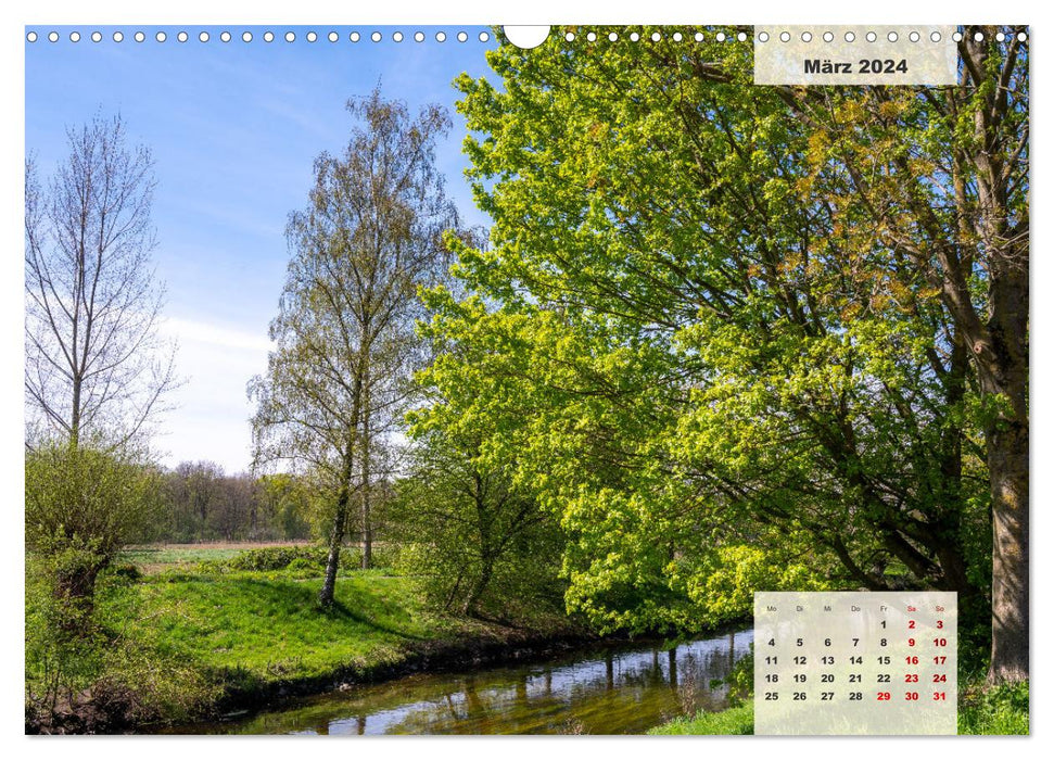 Ein Jahr Niederrhein Wiesen und Wälder (CALVENDO Wandkalender 2024)