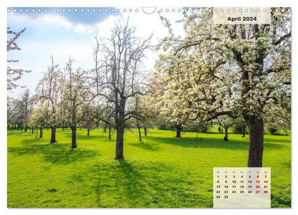 Ein Jahr Niederrhein Wiesen und Wälder (CALVENDO Wandkalender 2024)