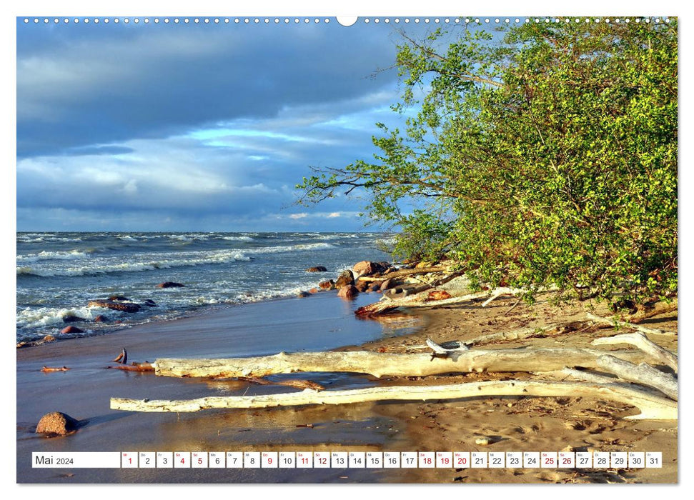 Traumküste - Estlands Naturparadies Saka (CALVENDO Premium Wandkalender 2024)