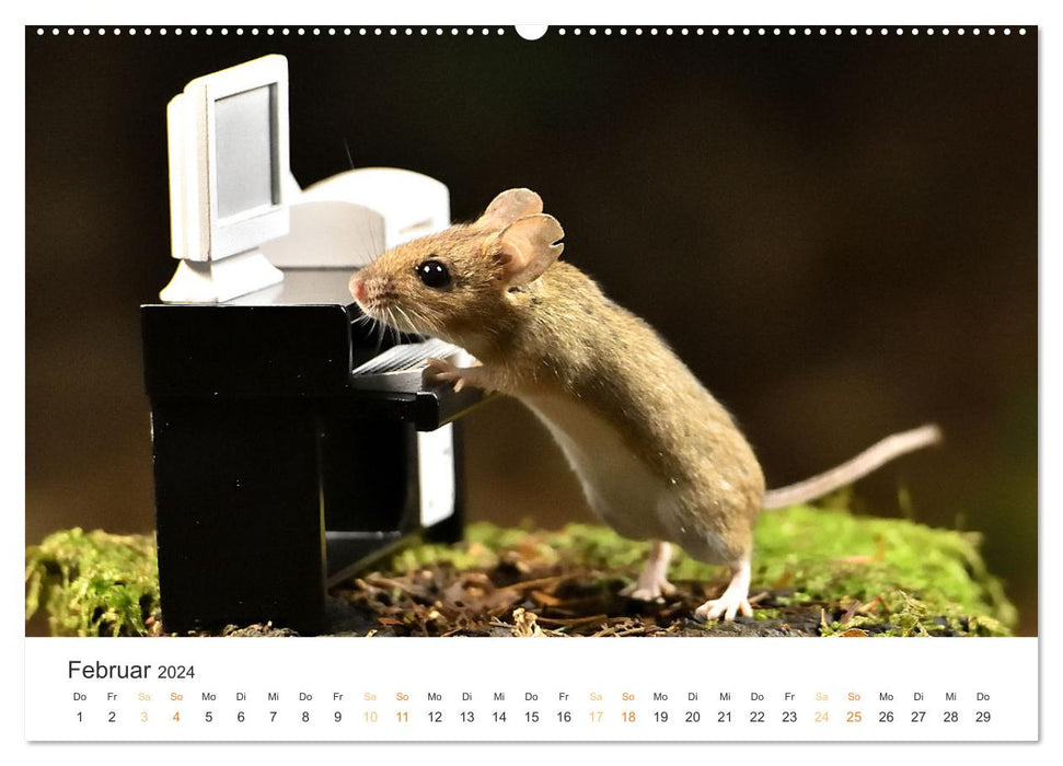 Secret forest life (CALVENDO wall calendar 2024) 