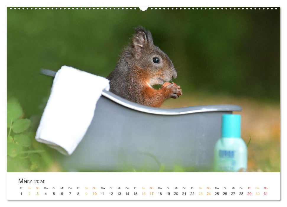 Secret forest life (CALVENDO wall calendar 2024) 