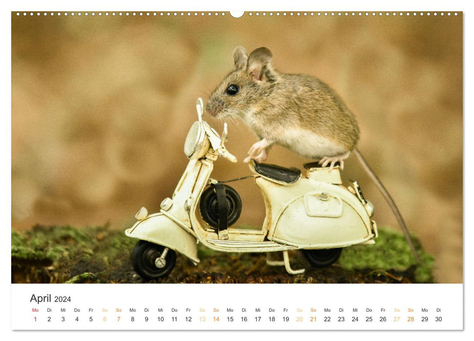 Secret forest life (CALVENDO wall calendar 2024) 