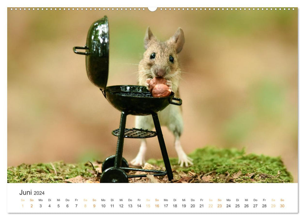 Secret forest life (CALVENDO wall calendar 2024) 