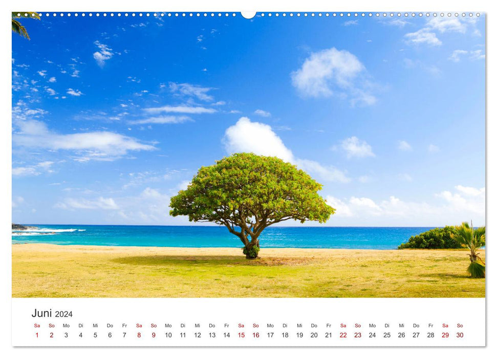 Alleinstehende Bäume (CALVENDO Premium Wandkalender 2024)