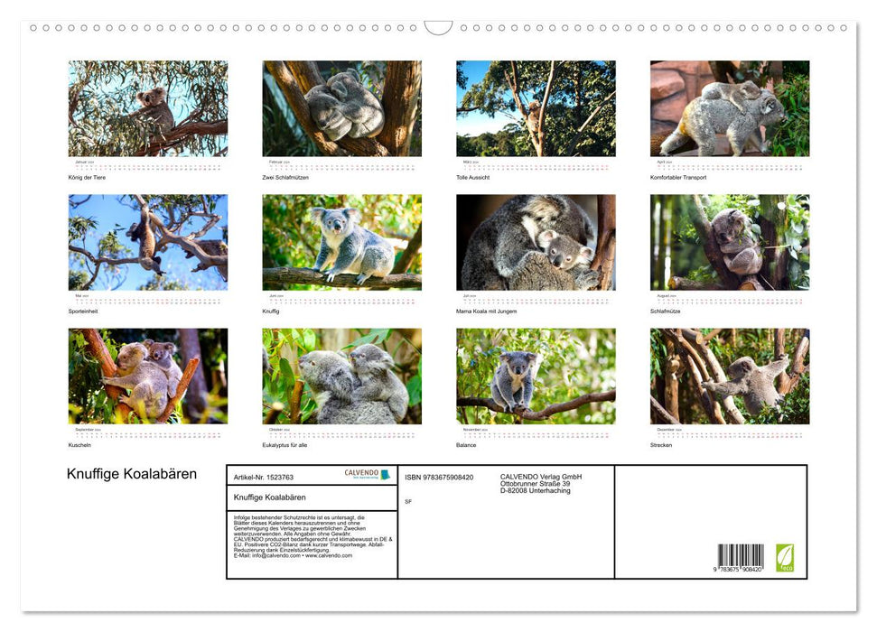 Cute koala bears (CALVENDO wall calendar 2024) 