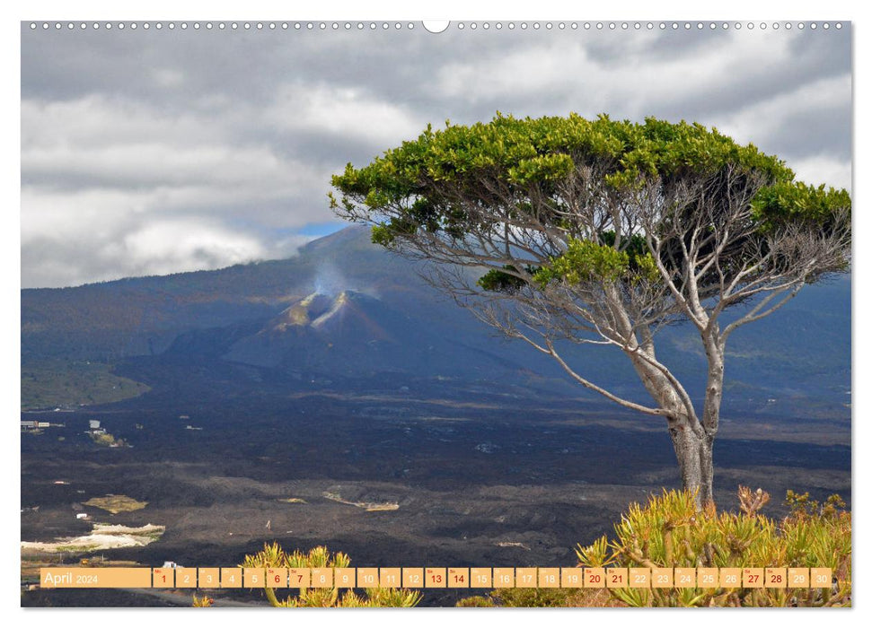 La Palma - the Tajogaite volcano (CALVENDO Premium Wall Calendar 2024) 