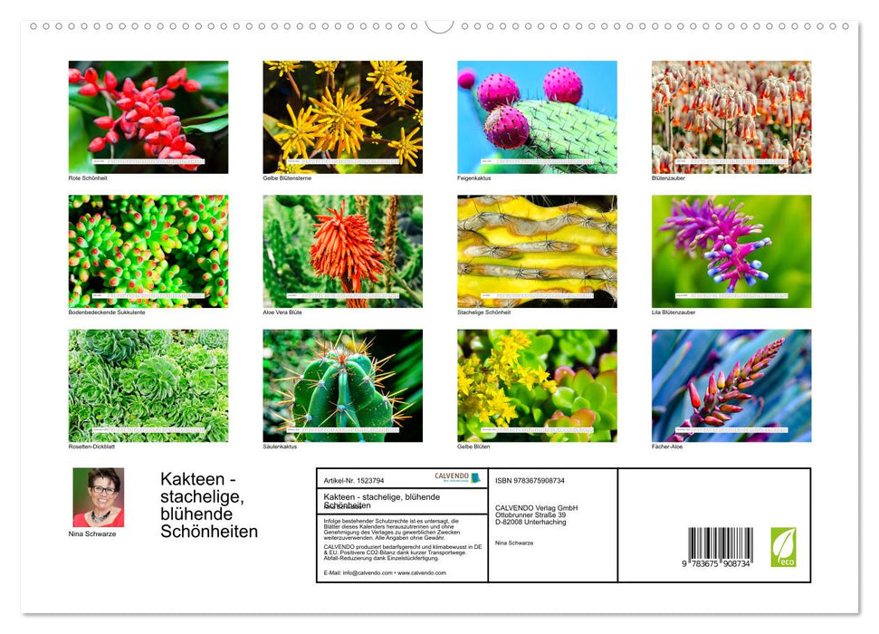 Cacti - spiky, flowering beauties (CALVENDO Premium Wall Calendar 2024) 