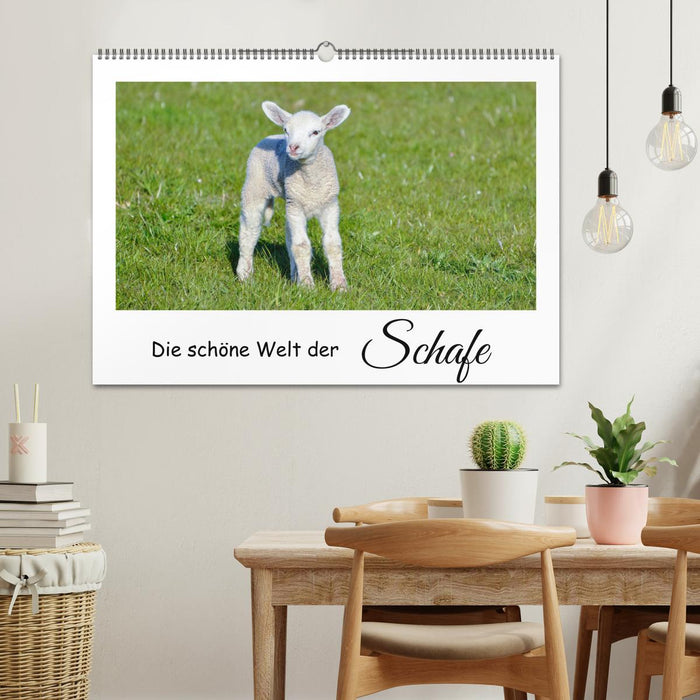 The beautiful world of sheep (CALVENDO wall calendar 2024) 