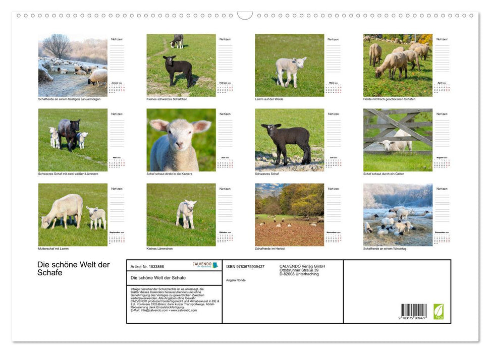 The beautiful world of sheep (CALVENDO wall calendar 2024) 