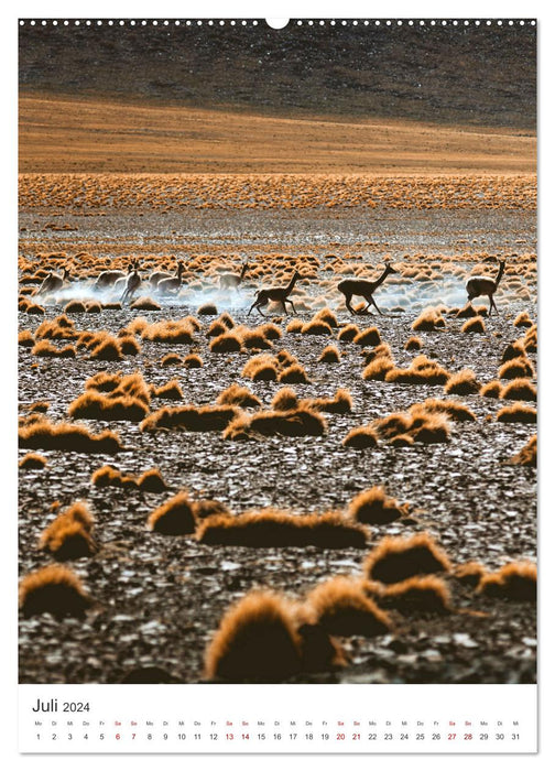 Chile - Ein Land mit unglaublicher Vielfalt. (CALVENDO Premium Wandkalender 2024)