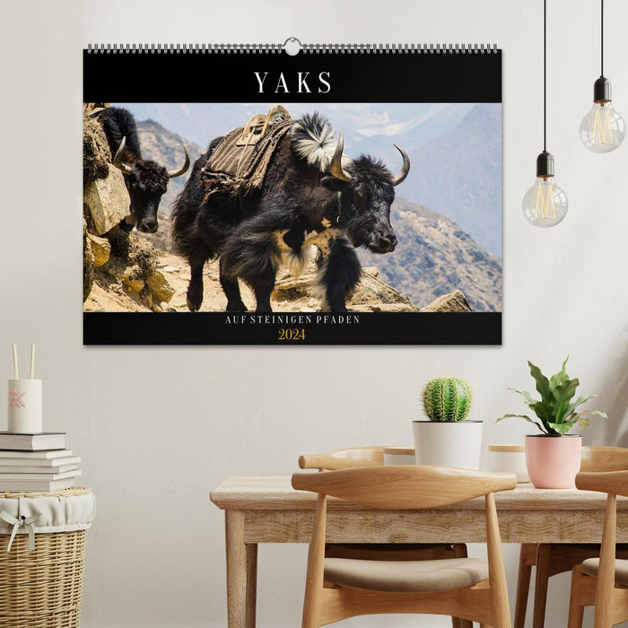 Yaks - sur les chemins pierreux (Calendrier mural CALVENDO 2024) 