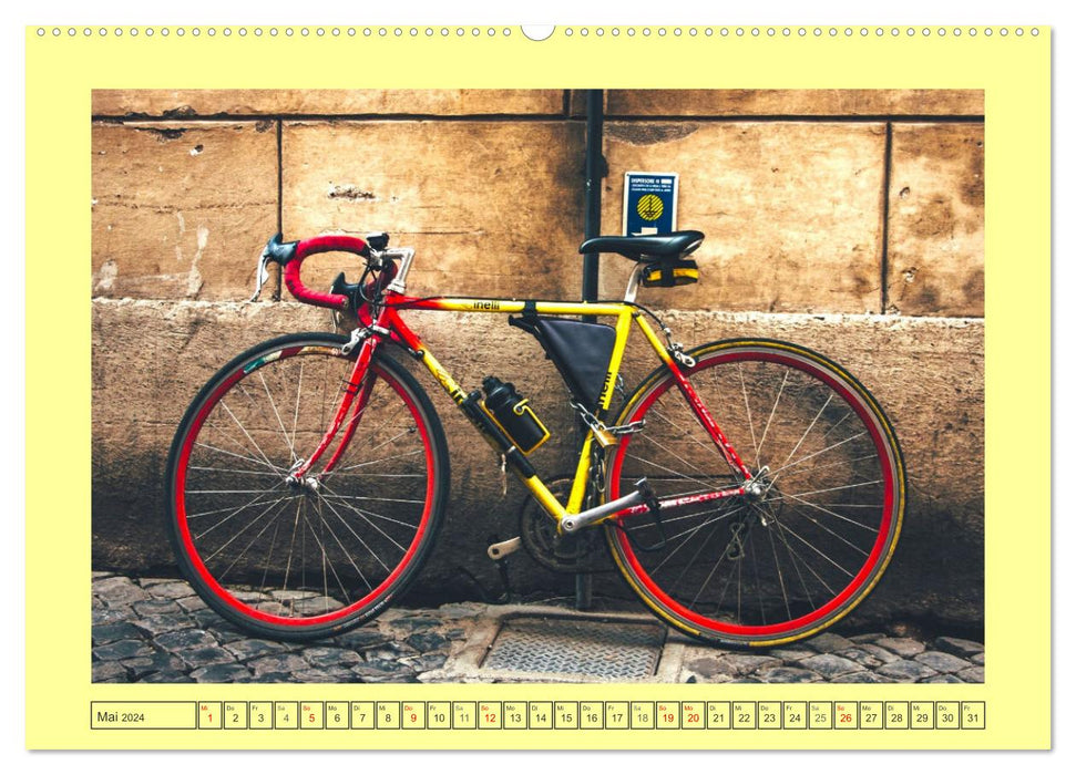 Faszination Fahrrad. Der Charme alter und neuer Drahtesel (CALVENDO Wandkalender 2024)