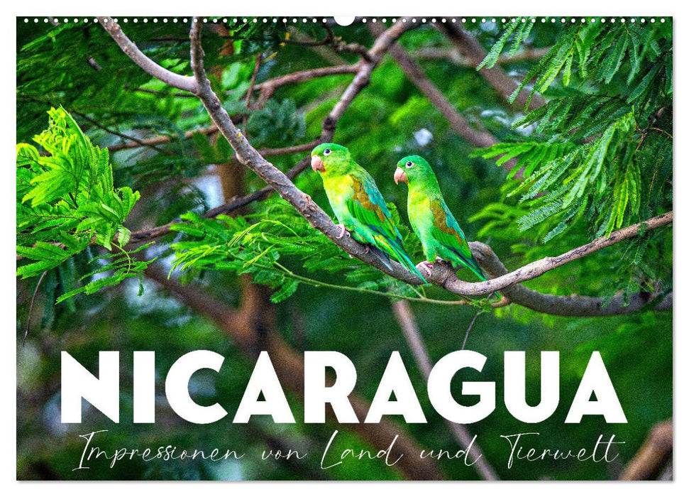 Nicaragua - Impressionen von Land und Tierwelt. (CALVENDO Wandkalender 2024)