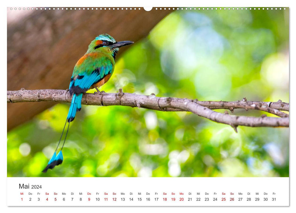 Nicaragua - Impressionen von Land und Tierwelt. (CALVENDO Wandkalender 2024)