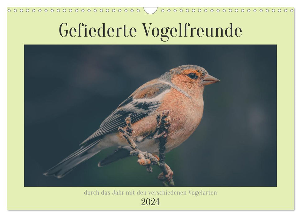 Gefiederte Vogelfreunde (CALVENDO Wandkalender 2024)